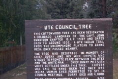 Ute Council Tree in Delta, Colorado